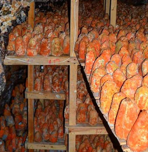 Turistler bu peynir için birbirleri ile yarışıyor. Cildi saçı ve kemiği güçlendiriyor - Resim: 4